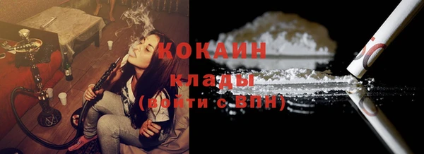 PSILOCYBIN Ельня