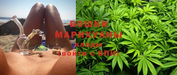 PSILOCYBIN Ельня