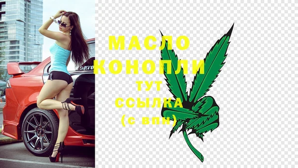 PSILOCYBIN Ельня