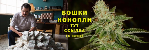 PSILOCYBIN Ельня