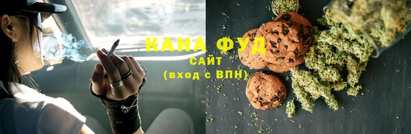 PSILOCYBIN Ельня