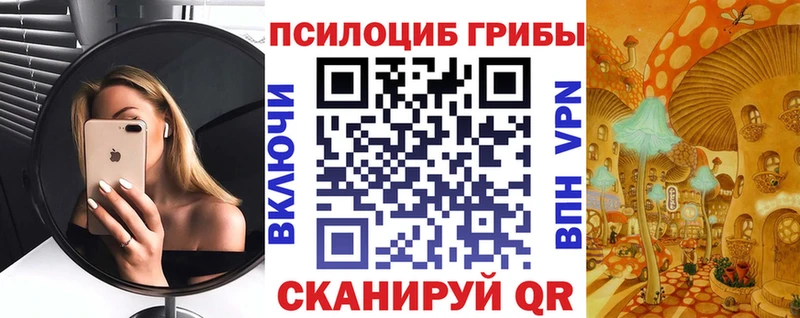 Купить  Микунь  Галлюциногенные грибы GOLDEN TEACHER 