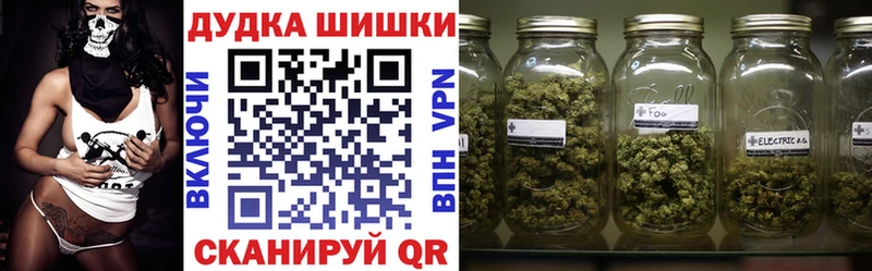 Бошки марихуана сатива  Купить закладки  Микунь 